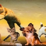 group-preview-img
